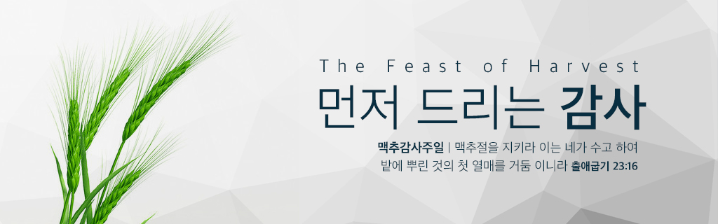 먼저드리는감사 - 맥추감사주일